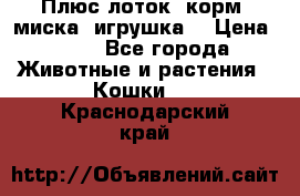 Плюс лоток, корм, миска, игрушка. › Цена ­ 50 - Все города Животные и растения » Кошки   . Краснодарский край